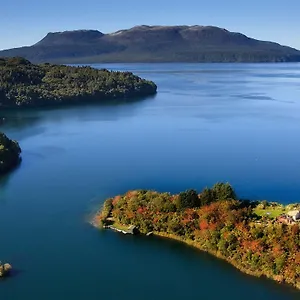 Solitaire Rotorua